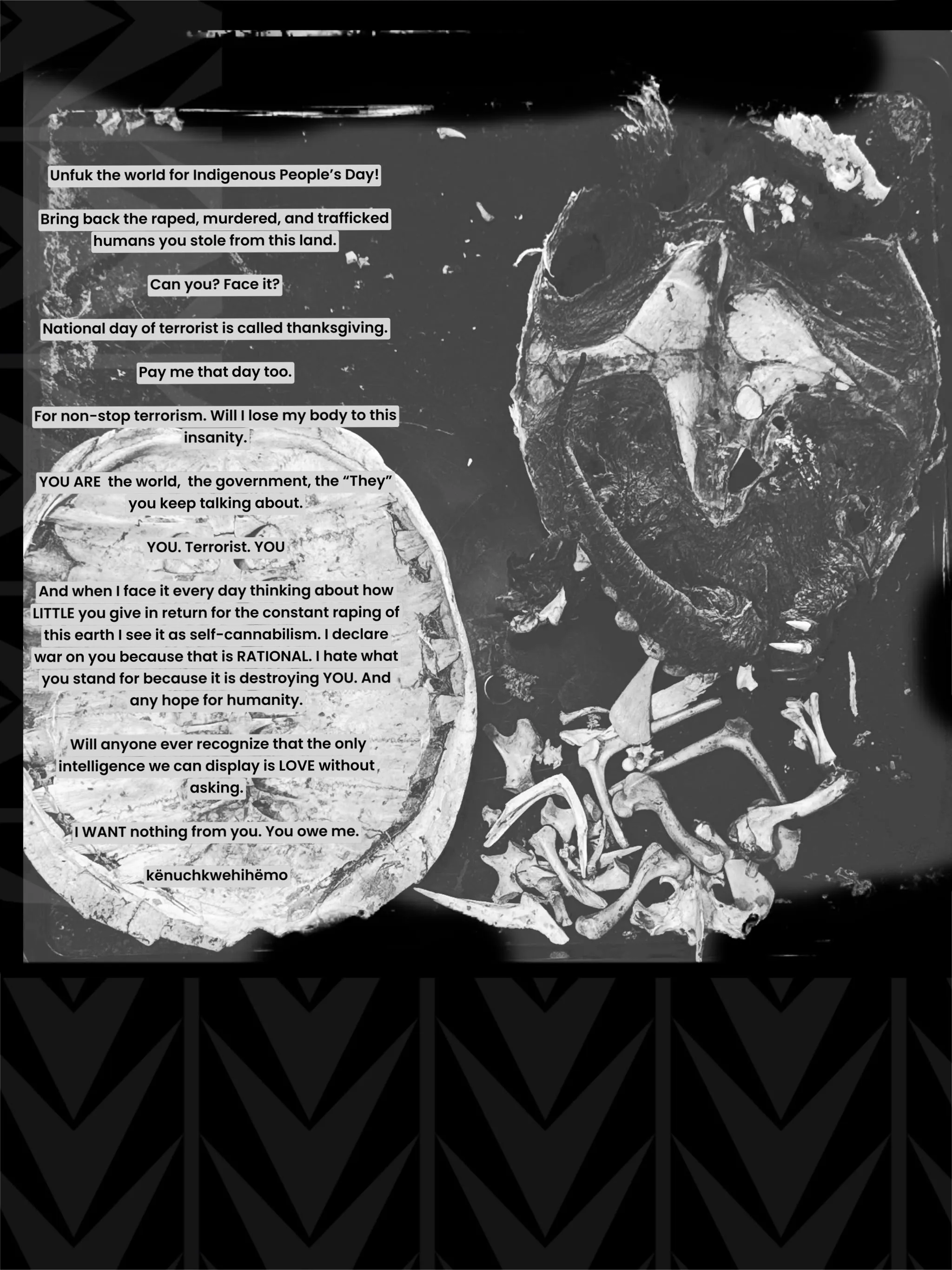Black and white image of a turtle shell and various bones. Text is overlaid in black and white, transcribed below